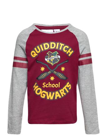 Long-Sleeved T-Shirt T-shirts Long-sleeved T-shirts Monivärinen/Kuvioitu Harry Potter