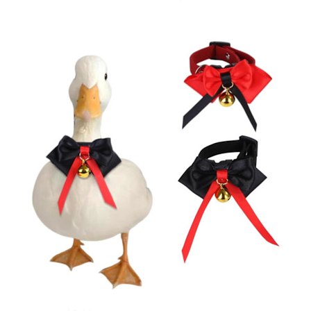 2-pakke Krave Sæt til Call Ænder med Klokke - Justerbar Butterfly til Små Kæledyr Høne Hane Gås - Perfekt Fjerkræ Kostume Tilbehør til Halloween Jul