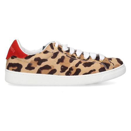 Dsquared2 - Sneakers - Brun - Dam - Storlek: 38 Eu, Dam, Storlek: 38 EU