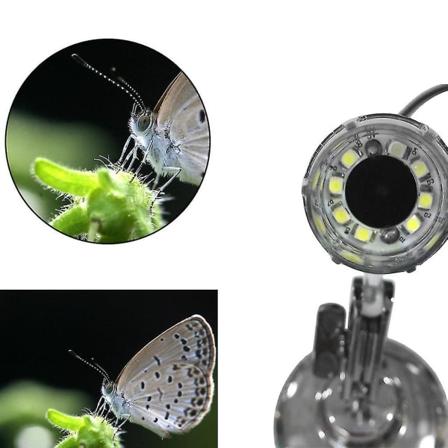 50-500x 2MP USB 8 LED Digital Mikroskopkamera Forstørrelsesglass