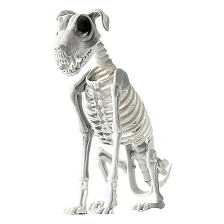 Halloween sittende hund skjelett skrekk spøkelse sittende hund skjelett med tenner Halloween skrekk dekorasjon-WELLNGS