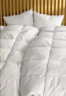 Tyyny Duni 50x60 cm Valkoinen