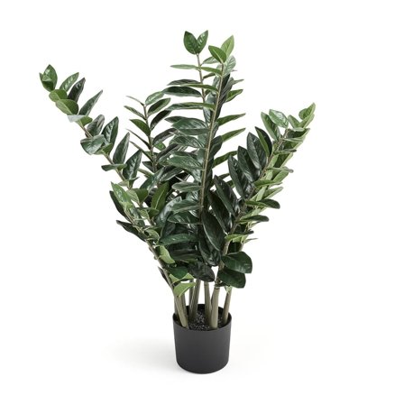 Artificial ZZ plant EVERGREEN, H 1000 mm, 1-pack