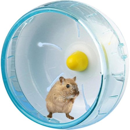 1kpl Hamsterin Pyörä Hiljainen Hamsterin Liikuntapyörä Kääpiöhamsterin Juoksupyörä Hiljainen Pyörivä Juoksupyörä Paras Lahja