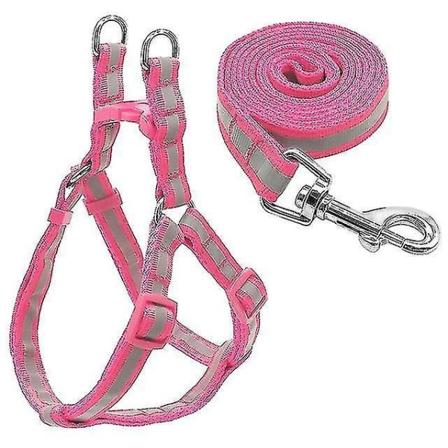 Små medelstora hundar Nylon reflekterande hundkoppel set, storlek: M (rosa)