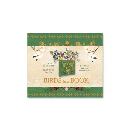 Birds in a Book (A Bouquet in a Book): Jacket Comes Off. Branches Pop Up. Display Like a Bouquet! (inbunden, eng)