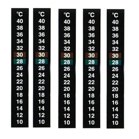5-pakks tradisjonell digital klebende termometer med Celsius-system