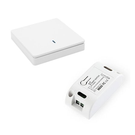 Trådløs smart lysbryter RF 433MHz lysstyring intelligent bryter AC 90-250V 10A modul (1 W og 1 C)_NN