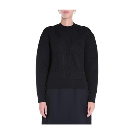 Alexander McQueen Crew Neck Sweater Sort, Dame