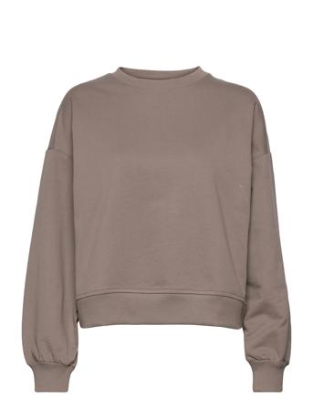 Ihvea Sw2 Brown ICHI