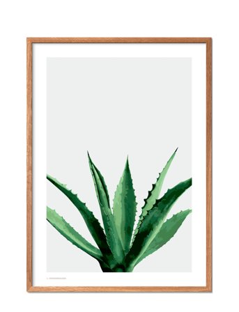 Poster & Frame Agave - Multi/patterned - 70X100CM