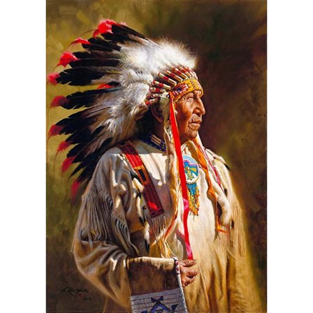 DIY Diamantmålningskit för Vuxna Indianer, Diamantkonst Kvinna Full Borr Rund Strass Diamantmålningstillbehör, Korsstygn Broderi Canvas