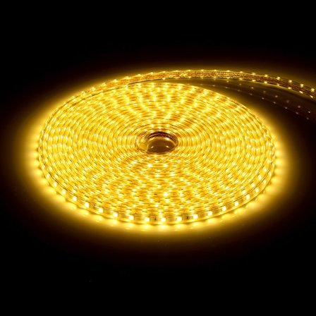 Vattentät SMD 5050 LED-remsa 220V 60leds/m Flexibel Tejp Repljus 10 Meter Varmvit