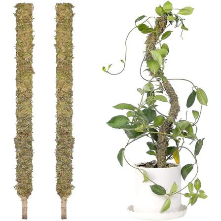 2 Pak 25" Store Ægte Mosstang Til Monstera Bøjbare Plantestøtter Totemstang Mospinde Plant Skov Mos Støtte/totem Til Pottede Klatreplanter I"