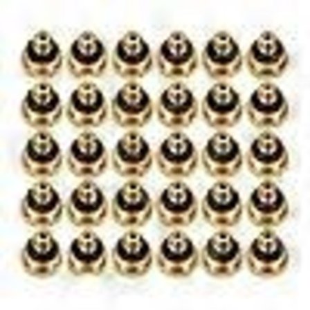 30 stk. forstøvningsdyser 0,4 mm udskiftningshoveder, lavtryks forstøvningssprøjte til terrasse L