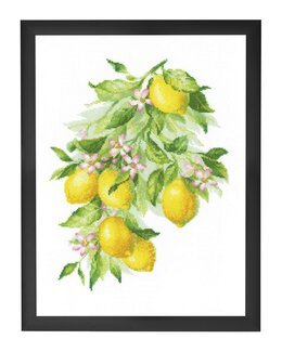 Stickpackung Bild Zitronen