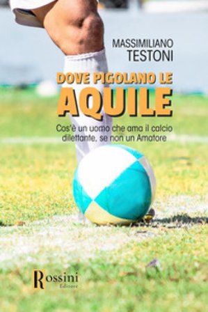 Dove pigolano le aquile Massimiliano Testoni