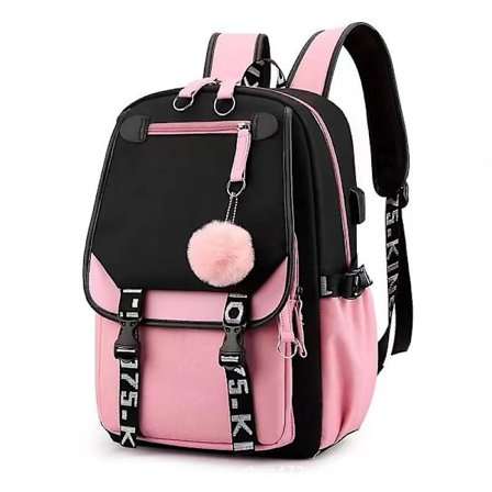 Backpack For Girls Usb Charging Bookbag Cute Backpacks For Teen Girls (pink)