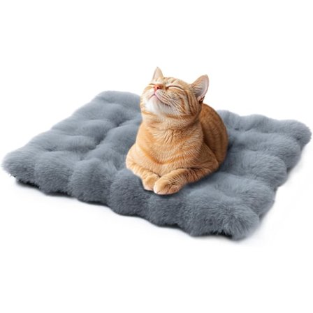 Kattbäddar för Innekatter Tvättbar Hundbur Säng Liten Platt Hundbädd Matta Fluffig Valpfilt Plysch Burmadrass