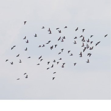 A coincidence is perfect, intimate attun MARJA/JUDITH H AHTI