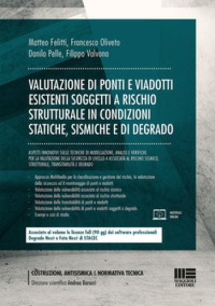 Valutazione di ponti e viadotti esistenti soggetti a rischi strutturale in condizioni statiche, sismiche e di degrado Matteo Felitti