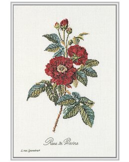 Broderikit Billede Røde Blomster - Thea Gouverneur