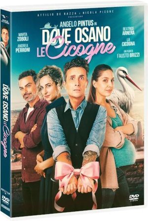 Dove Osano Le Cicogne