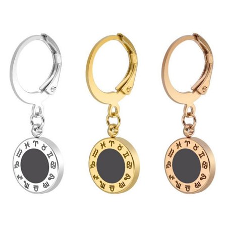 Rostfritt stål Örhängen