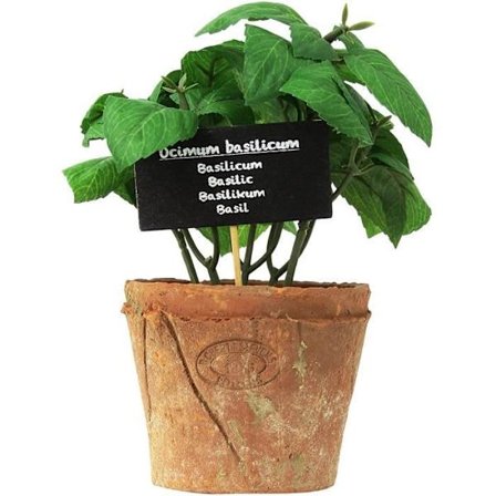 Esschert's Design AH008 Grand Artificiel Matures Terrakotta Kruka - Basilika