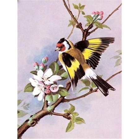 30 x 40 cm, Diamantmaleri Broderi Diamantmaleri Lærred 5