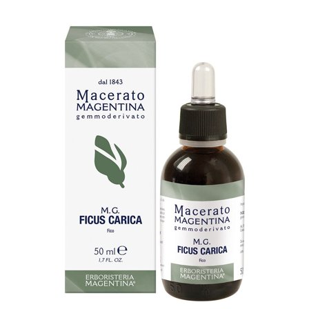 Macerato Magentina MG Ficus Carica 50ml