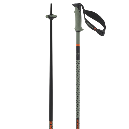 Salomon - Hole pro sjezdové lyžování Hole Polar Pro S3 - Oil Green