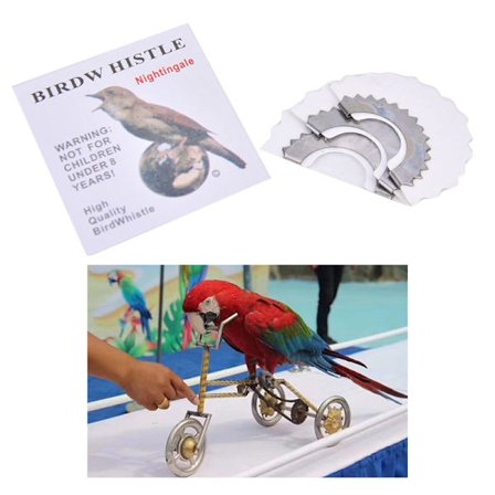 Ny Bird Whistle magisk sjov fuglekaldetunge til drenge og piger