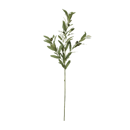 Åhléns Home Konstväxt olivkvist Blommor & växter Grön ONESIZE