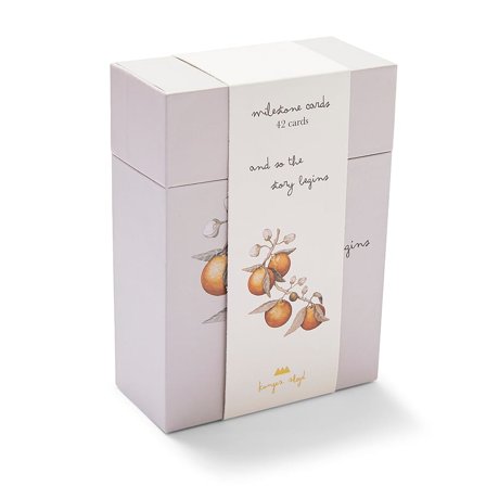 Konges Sløjd Milepælskort Multi, Børn & Forældre, Legetøj, Øvrig