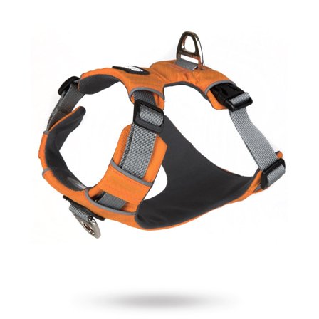 DOG REVOLUTION - Safe-Walk Pro - Orange Hundsele