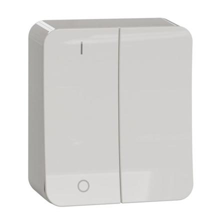 Schneider Electric Exxact WDE015541 Vaihtokytkin pinta-asennettava, 2x1-napainen, Katkaisijat & pistorasiat