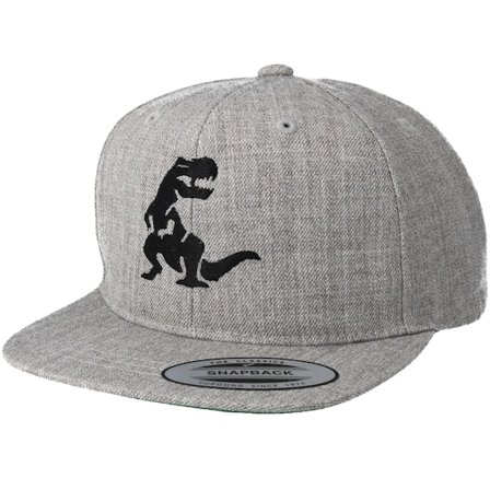 Kiddo Cap - Grå snapback Keps - Kids Dino Grey Snapback @ Hatstore