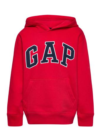V-New Campus Logo Hood Red GAP