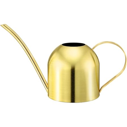 Vandkande i rustfrit stål med lang tud, guld, til indendørs og udendørs vanding af planter (guld) (1 stk)
