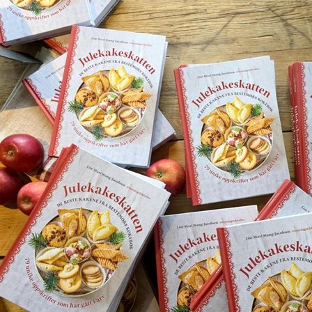 BONNIER Julekakeskatten kokebok 79 oppskrifter norsk jul