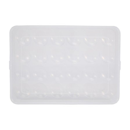 Ägghållare för kylskåp, Deviled Egg Tray Carrier med lock Kylskåp Äggförvaring Stapelbar Plast