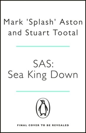 SAS: Sea King Down