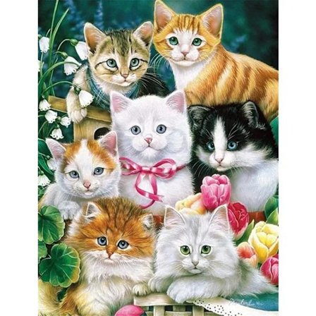 30x40cm Kit#A 5D DIY Diamantmaleri, Katte Diamantmaleri, Pain(a89)