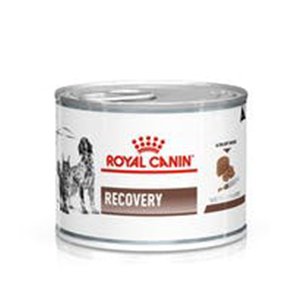 Royal Canin Recovery Dog/Cat- Återhämtning, våtfoder burkar, 195 g