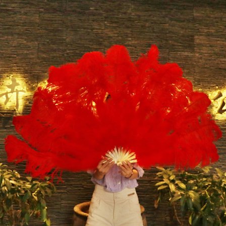 Læder pink strudsefjer vifte håndfoldende fjer vifte performance danse vifte fest scene karneval performance rekvisitter 60/100cm rød version - Perfet