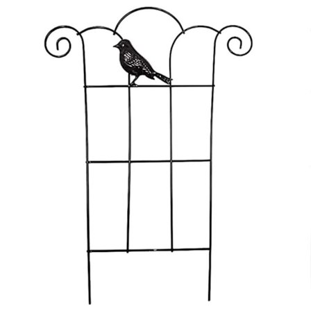 Hagespalier klatreplante Trellis E E