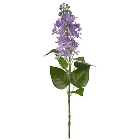 Blomkvist Syrén Lila 60 cm- konstväxt