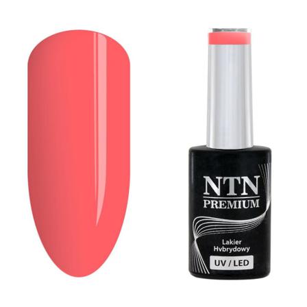 Ntn Premium - Gellack - Celebration - Nr164 - 5g Uv-gel/led Aprikos