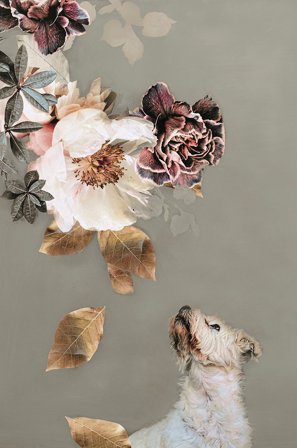 Malerifabrikken - Poster Pet Couture 2 - Flerfärgad - Posters - Från Homeroom